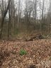 156 Bufflehead Drive sold home in Mooresville, SC