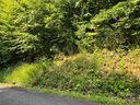 0 Rising Sun Road 84 sold home in Mars Hill, SC