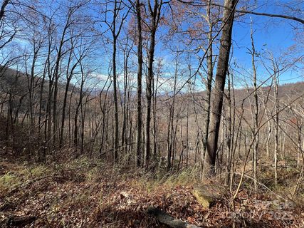 Lot 8 Falls View Drive active lot in The Falls, Bryson City, NC