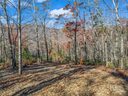 144 Wee Burn Cove sold home in Mill Spring, SC