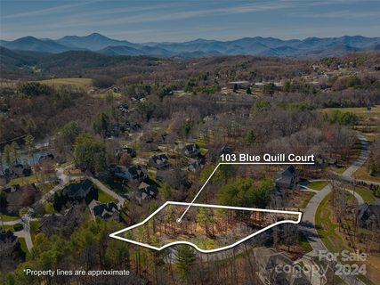 103 Blue Quill Court