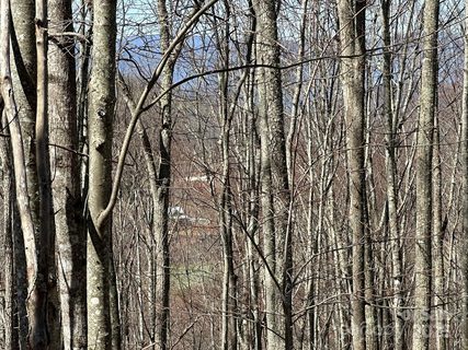 146 E Clubhouse Road active lot in Balsam Mountain Preserve, Sylva, NC