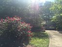 8220 Camelia Lane sold home in Denver, SC