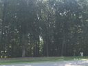 4026 Piaffe Avenue 106 sold home in Mint Hill, SC