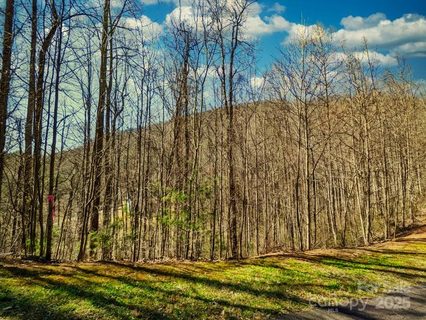 45 Ashewood Mountain Way sold lot in Ashewood, Candler, NC