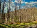 45 Ashewood Mountain Way sold home in Candler, SC