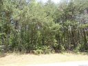 7850 Tradewinds Drive sold home in Sherrills Ford, SC