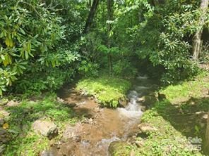 9 Red Leafe Trail sold lot in Hemlock Falls, Sylva, NC