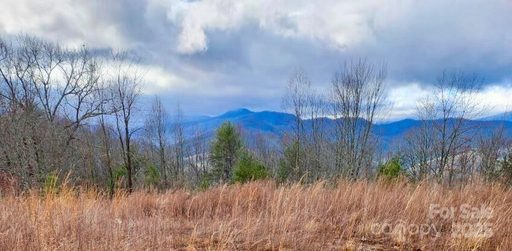 255 Clearview Lane active lot in French Broad Crossing, Marshall, NC