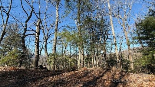 0 Bird Dog Boulevard active home in Riverbend At Lake Lure, Lake Lure, NC