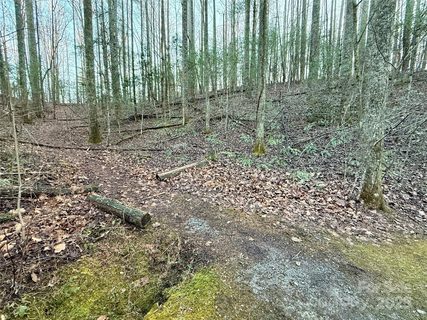000 Spring Road sold lot in Willow Creek Farms, Hendersonville, NC