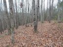 1061 Round Rock Road sold home in Lenoir, SC