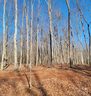 Lot 3 Brancer Lane sold home in Lincolnton, SC