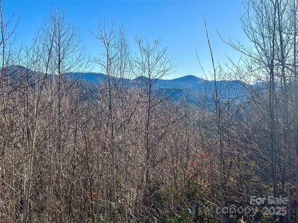 Lot 74 Freedom Way active lot in Alarka Highlands, Bryson City, NC