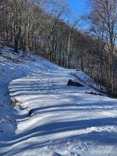 00 Wandering Trail active home in Avalon, Waynesville, NC