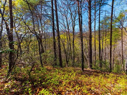 107 Deep Gap Road active home in Brights Creek, Mill Spring, NC