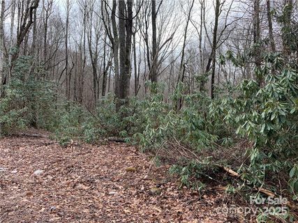 000 Holland Drive sold lot in Presley Estates, Maggie Valley, NC