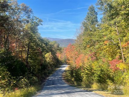 Lot 46 Bald Eagle Lane active home in Lakewood, Marion, NC