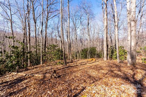 1248 Arborcrest Way active home in High Hickory, Swannanoa, NC