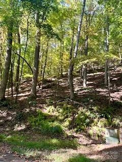 Tbd Hickory Vista Lane active home in High Vista, Mills River, NC