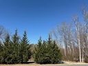 128 Oak Tree Drive sold home in Mocksville, SC