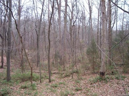 Lot 20 Woodforest Drive sold lot in Woodforest, Rock Hill, SC