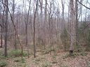 Lot 20 Woodforest Drive sold home in Rock Hill, SC