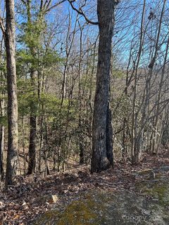 210 Thistlewynd Trail active lot in Somersby Park, Hendersonville, NC
