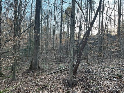 Homes in Westgate, Rutherfordton