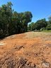 236 Paradise Drive sold home in Belmont, SC