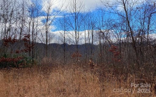 Lot G2 Georgianna Lane sold lot in Grant Estates, Bryson City, NC