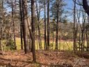 121 Bobby Jones Drive sold home in Hendersonville, SC