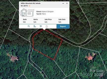 Homes in Miller Mountain, Saluda