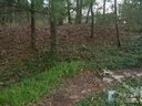1631 High Meadow Lane sold home in Hendersonville, SC