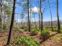 00 Winterberry Drive sold home in Hendersonville, SC