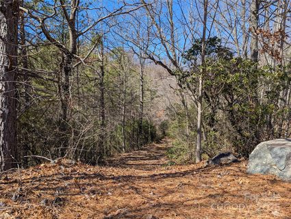 94 Trillium Lane active home in Creston, Black Mountain, NC