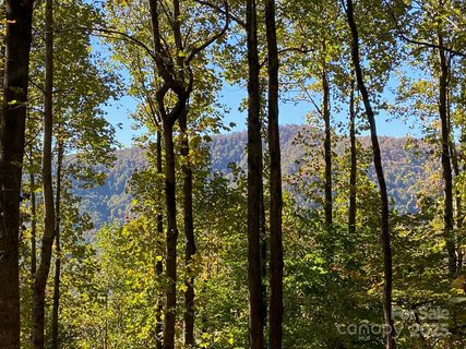 501 Warbler Lane active home in Creston, Black Mountain, NC