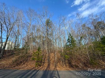 Lot 47 Dublin Lane sold home in Shamrock Forest, Columbus, NC