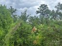 Tbd Lobelia Lane sold home in Boone, SC