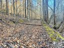 0 Bitteroot Circle sold home in Rutherfordton, SC