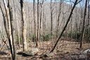 15 Wood Haven Lane sold home in Black Mountain, SC