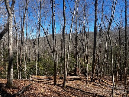 Lot 68 Cherrywood Lane sold lot in Stoney Brook, Pisgah Forest, NC