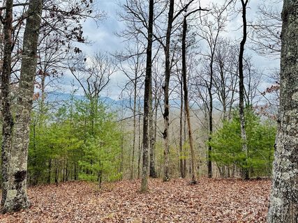 275 Raccoon Run active lot in French Broad Crossing, Marshall, NC
