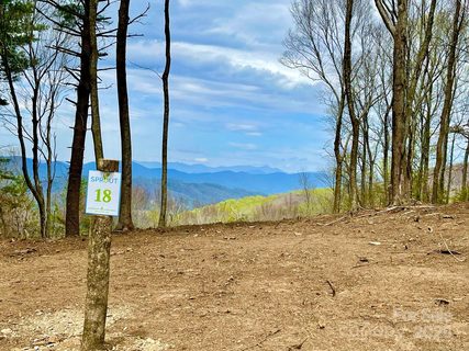 Tbd East Garden Trail active home in Sprout, Hendersonville, NC