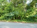 11301 N Hampton Drive sold home in Charlotte, SC