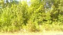 138 Dayton Road sold home in Dallas, SC