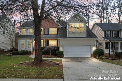 1017 Anduin Falls Drive