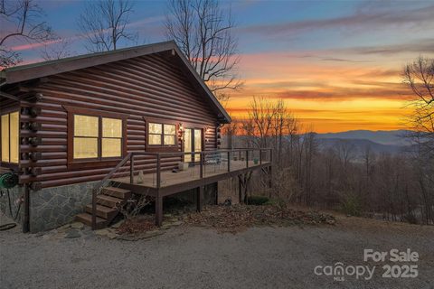 1010 Mitchell View Drive 859