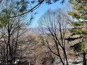 15 Elmwood Lane sold home in Asheville, SC