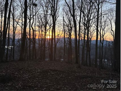 99999 Old Forest Drive sold lot in Pinchot Forest, Asheville, NC